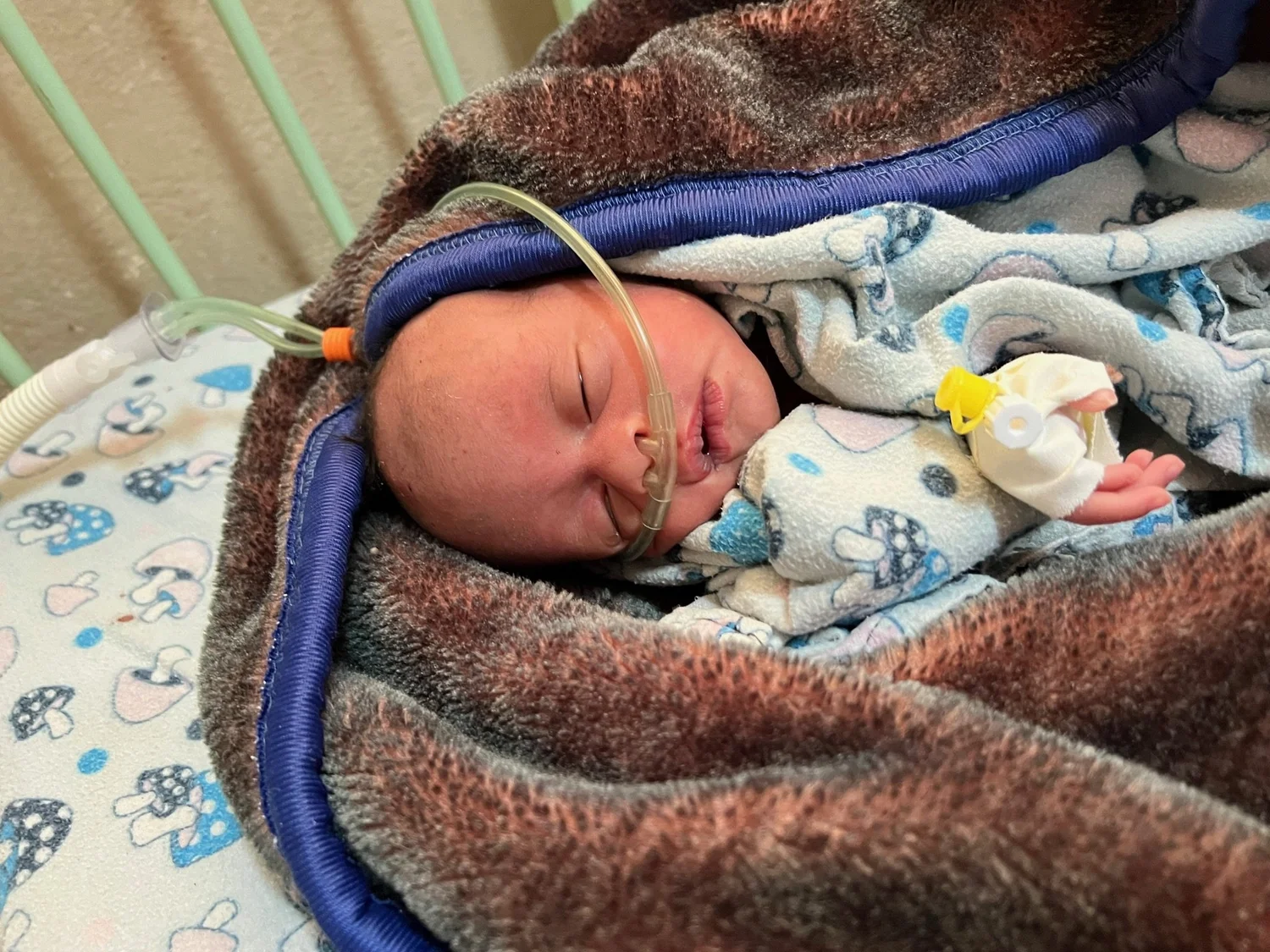 H.A.N.D.S. Babies photo 39