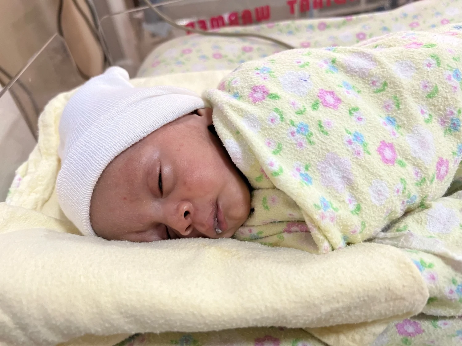H.A.N.D.S. Babies photo 14