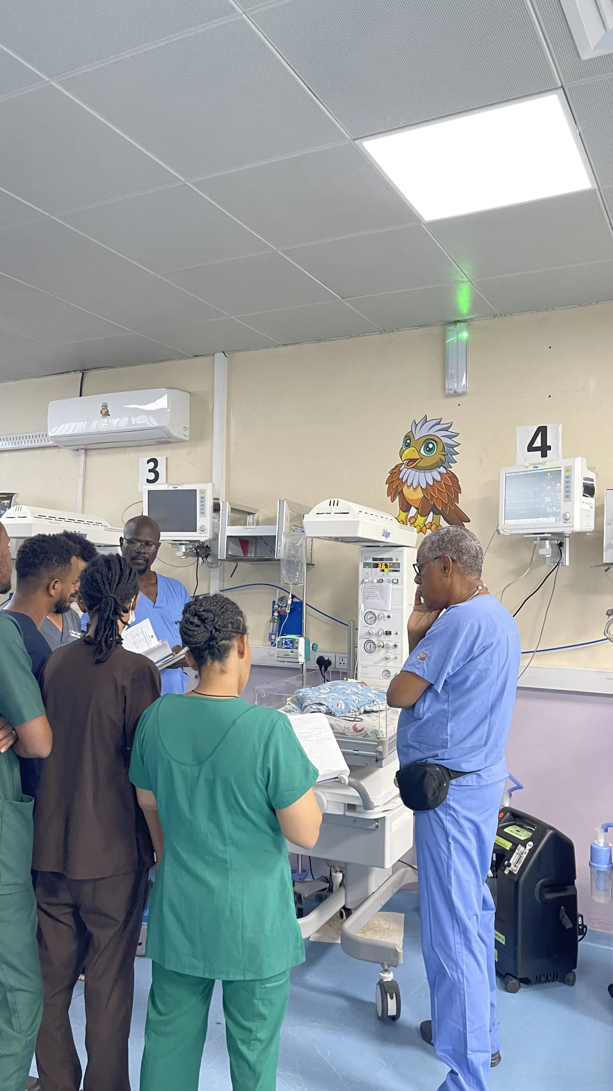 The medical team discussing bedside care